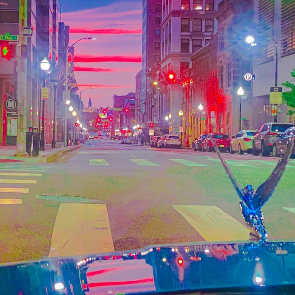 Meet your Posher, Wingz Mayhem - Picture 6 of 7